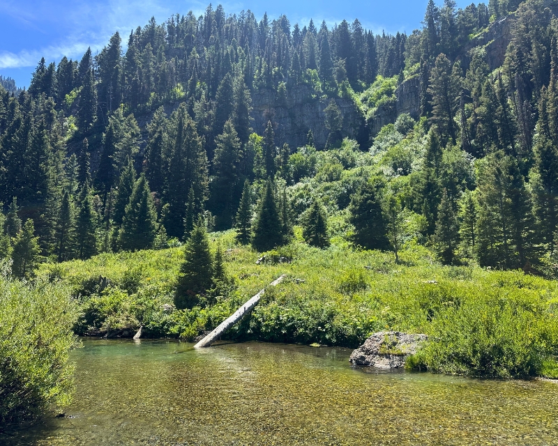 Bridger-Teton National Forest hiking